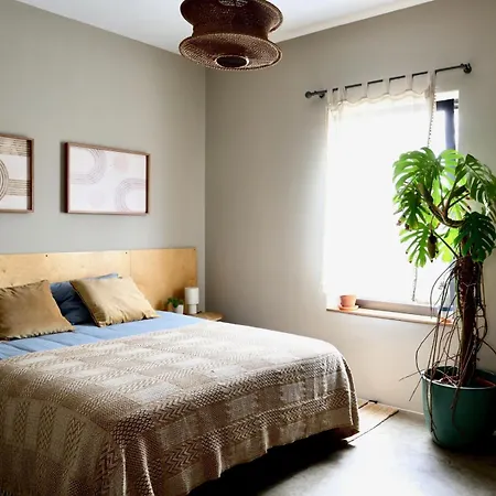 Golden Wave * ラハレス