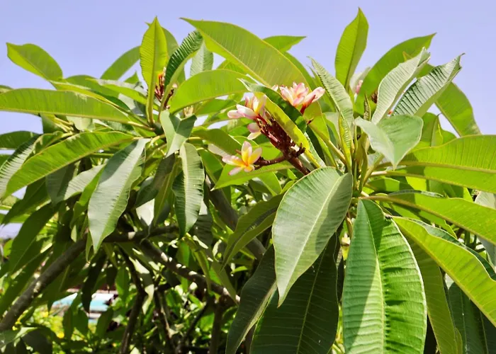 Villa Golden Wave Lajares