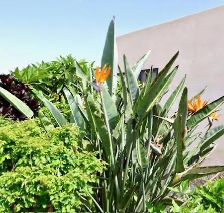 Golden Wave * 라하레스