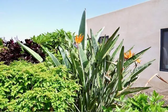 Golden Wave * Lajares